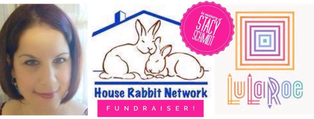 LulaRoe fundraiser, May 7, 2017