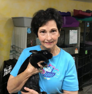 Volunteer Yolanda socializing a shelter bun