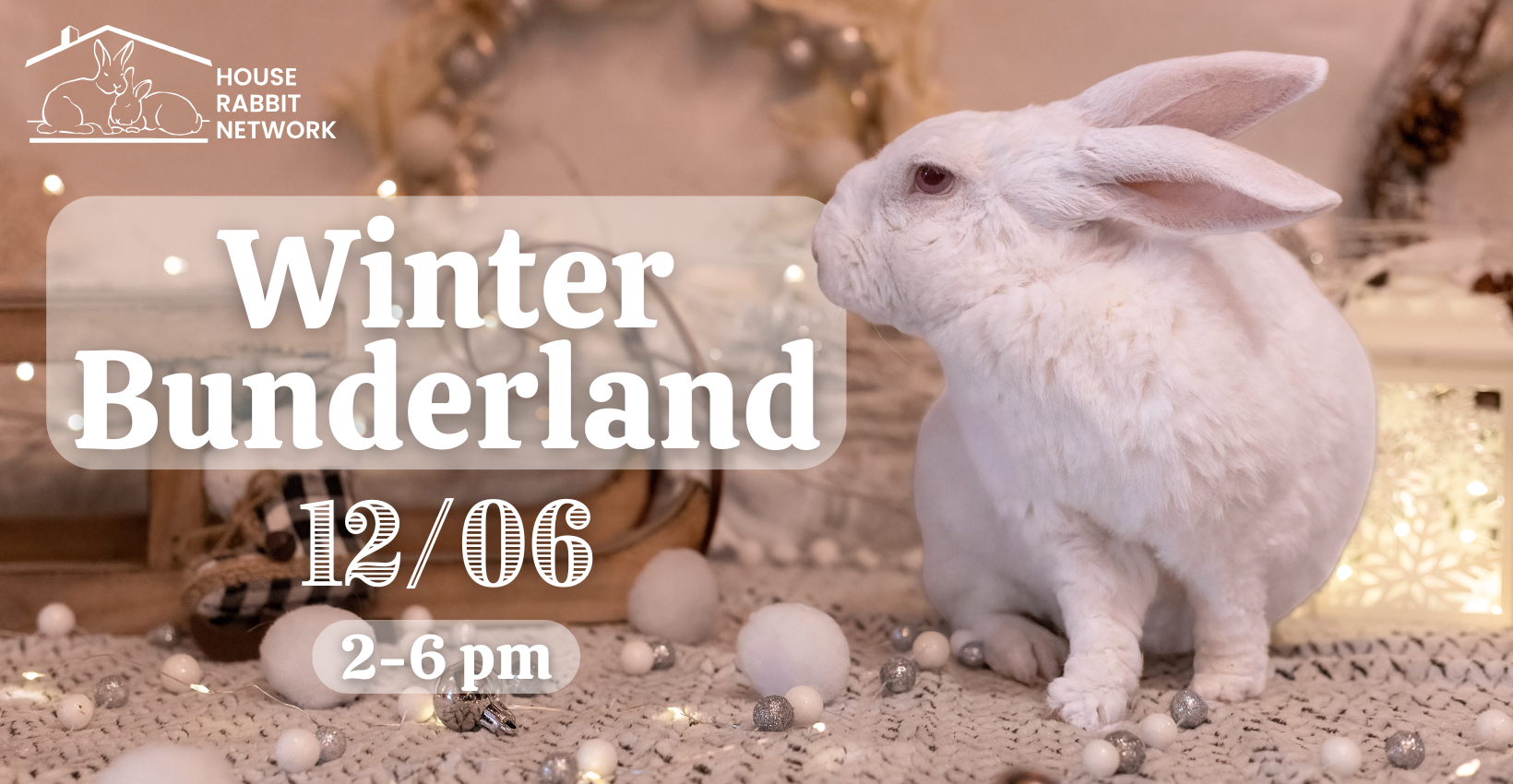 Winter Bunderland (15)