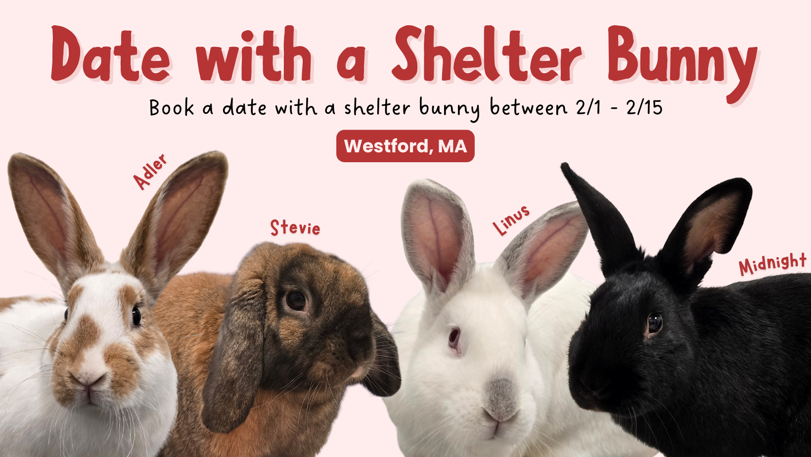 Baby Bunny Snuggles (15)